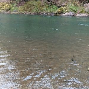 Meet your Posher, Chloe